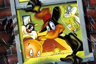 Wallpapers Daffy Duck Cartoons Image