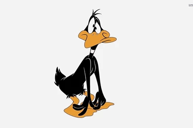 Sad And Surprised Daffy Duck Wallpapers   Cartoon Wallpapers