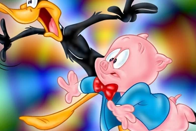 Daffy Duck iPad 1 & 2 Wallpapers