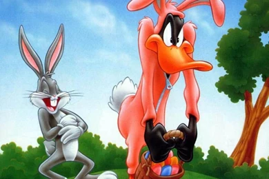 Daffy Duck Wallpapers : Wallpapers 4