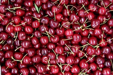 Development: Cherries Frc, Picture Nr. 11332