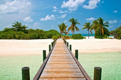 BEAUTIFUL SUNRISE BEACH BACKGROUNDS HIGH DEFINITION WALF1007 ...