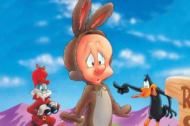 Elmer Fudd, Bugs Bunny And Daffy Duck >> HD Wallpaper, Get It Now!