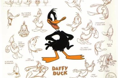 Daffy Duck 8   High Definition : Widescreen Wallpapers
