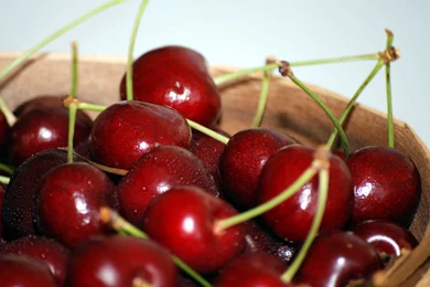 Cherries Just Picked 2 Wallpaper Backgrounds For Desktop