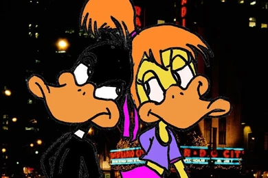 Daffy And Melissa Duck Picture, Daffy And Melissa Duck Wallpapers