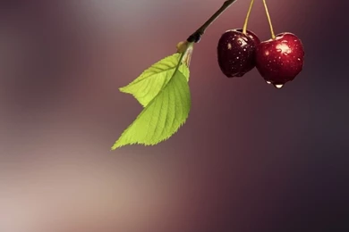 Two Cherries HD Desktop Wallpapers : Widescreen : High Definition ...