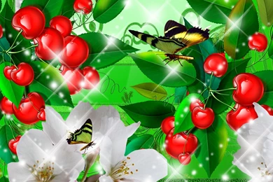 Peaches, Apricots, Plums, Cherries >> HD Wallpaper, Get It Now!