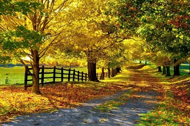 Seasonal Wallpapers For Desktop   Wallpapers Cave