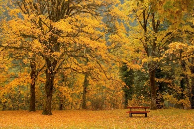 HD Wallpapers   Wallpapers   Free High definition Desktop Wallpapers ...