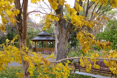 Free Desktop Wallpapers   Seasonal And Holidays   6656 2560x1600