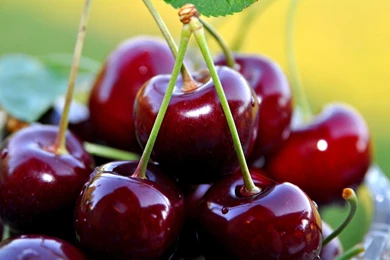 Cherries Computer Wallpapers, Desktop Backgrounds