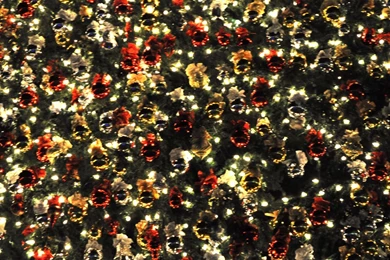 Free Games Wallpapers: Christmas Backgrounds Wallpapers   Download ...