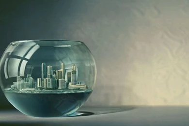 Computer Wallpapers Websites