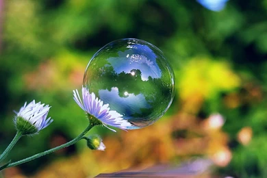 YouWall   Bubble Flower Wallpapers   Wallpaper,wallpapers,free ...