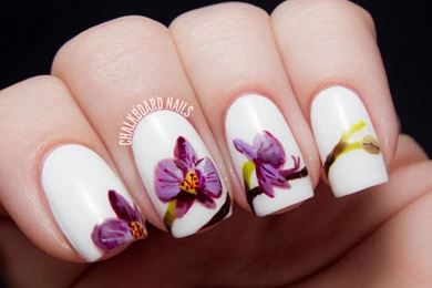 Blue Toe Nail Designs Tumblr Wallpapers