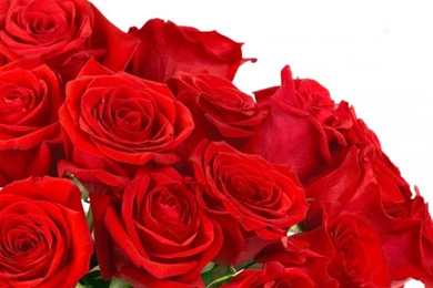 Download Wallpapers 3840x1200 Roses, Flowers, Bouquet, Bright, Red ...