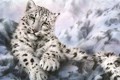 Snow Leopard Anime Drawings   Wallpaper.