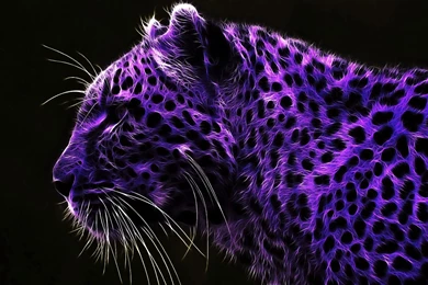 Cats: Purple Leopard Animal Spots Cat Pretty Wild Phone Wallpapers ...