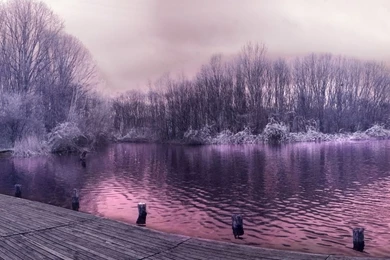 1280x800 Pretty Purple Lake Trees Jetty Desktop PC And Mac Wallpapers