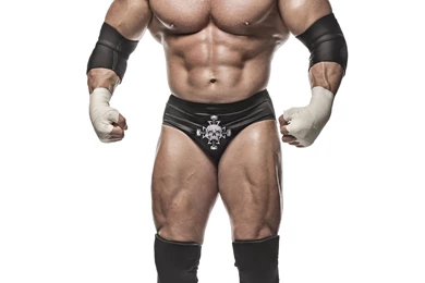 Triple H Wallpaper HD Desktop BAckgrounds.jpg