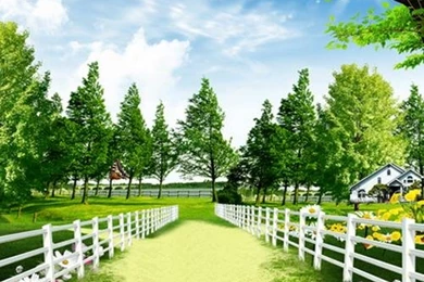 1(W)x1.5(H)m Children Art Photography Backgrounds Free Shipping ...