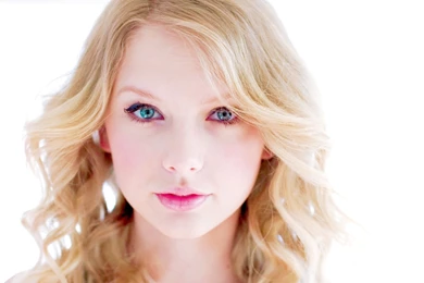 American Beauty Wallpaper, American Beauty Photos, New Wallpapers