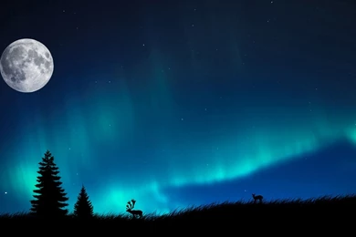 Northern Lights Wallpapers   Wallpapers Cave