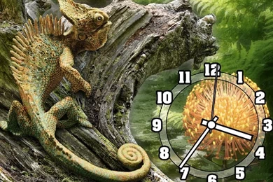 7art Chameleon Clock Screensaver   Majestic Handsome Chameleon On ...