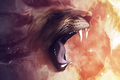 Cartoon Lion Lock Screen HD 2160x1920 Samsung Galaxy Note 3 ...