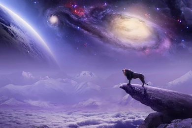 Lion On A Backgrounds Galaxy Wallpapers And Images Wallpapers ...