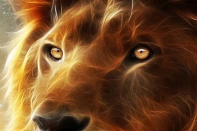 Wallpapers Iphone 5 S Lion 640 X 1136 640 X 1136 Iphone 5 Apple ...