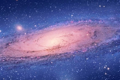 Lion Galaxy Galaxy S3 Wallpapers (720x1280)