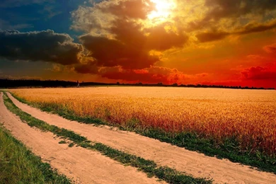 Beautiful Nature Wallpapers HD   Wallpapers Cave