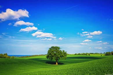 Beautiful Wallpapers Of Nature   Wallpapers Cave