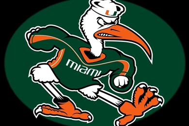 Zephyr Miami Hurricanes Black Camo Logo Fitted Hat Icon Free Icons ...