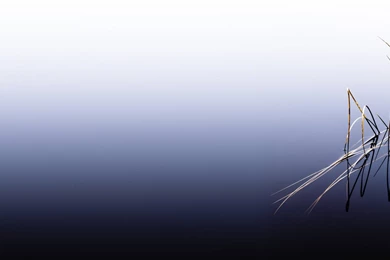 Calligraphy Wallpapers By Nisfornarwhal On DeviantArt