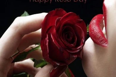 Happy Valentines Day Week List