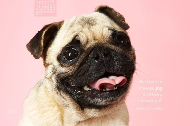 Free Mobile Wallpapers Wallpaper, Backgrounds & Photos