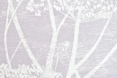 Cow Parsley Wallpapers Lilac Grey