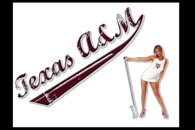 Texas A+M Womens Lacrosse By Bh06there On DeviantArt