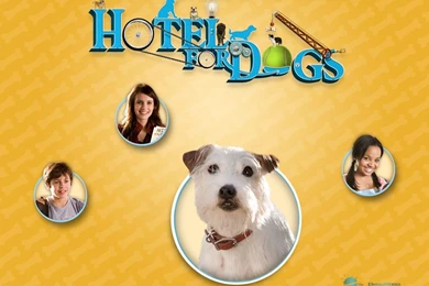 Un Wallpapers Del Film Hotel Bau Con Jake T. Austin, Emma Roberts E ...