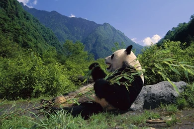 Beautiful Great China Travel Views Wallpapers