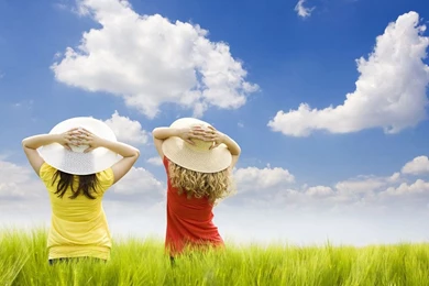 Spring Break Wallpapers   Crazy Frankenstein