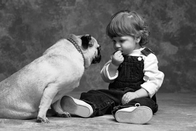 YouWall   Best Friend Wallpapers   Wallpaper,wallpapers,free ...