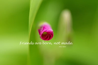 Friend Hd Wallpapers ›› Page 2