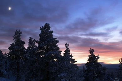 Winter Dawn Wallpapers Wallpapers   HD Wallpapers 87773