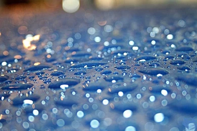 Rainy_backgrounds 1920x1080.jpg