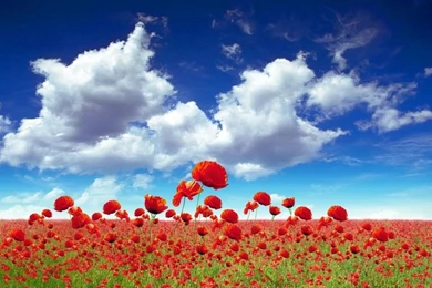 Sky Wallpaper HD 1024x629.jpg