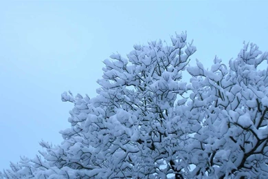 Cute Winter Wallpapers   Wallpapers Cave